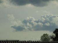 dscf1509.jpg