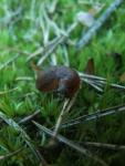 dscf2824.jpg
