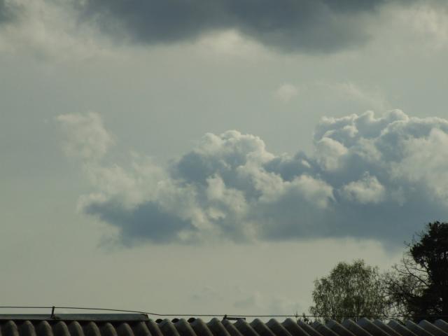 dscf1509.jpg