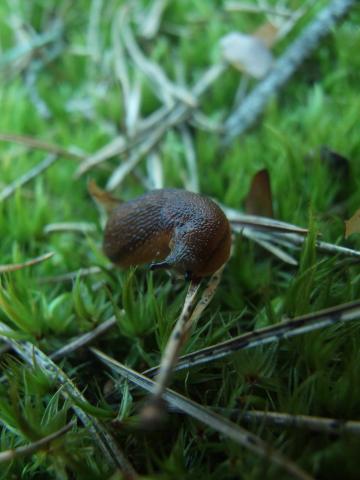 dscf2824.jpg