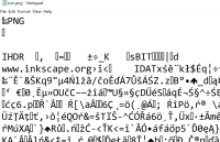 Binární soubor zobrazený textově